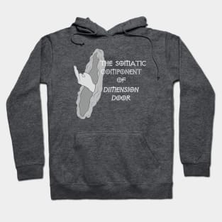 Dimension Door Hoodie